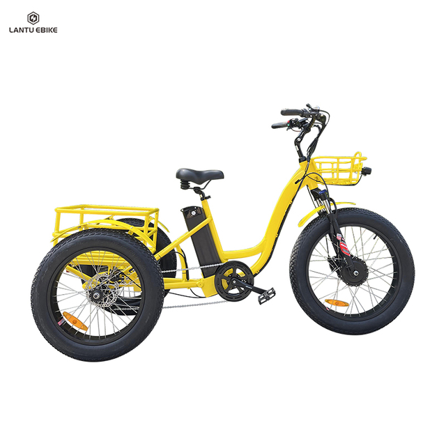 rent electric bike for delivery