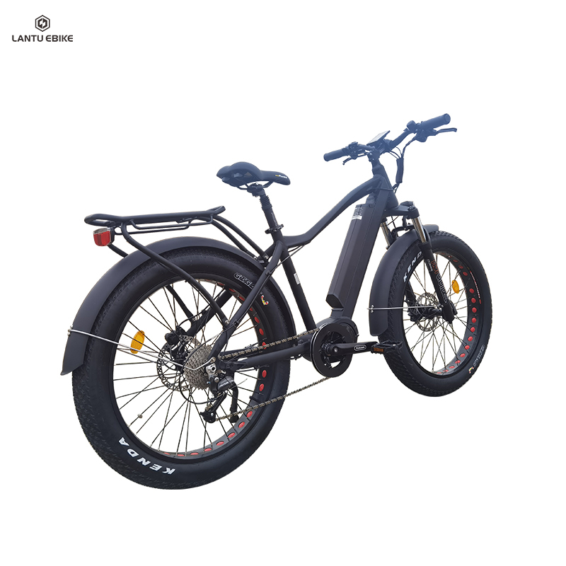 beach cruiser 1000w electric bike